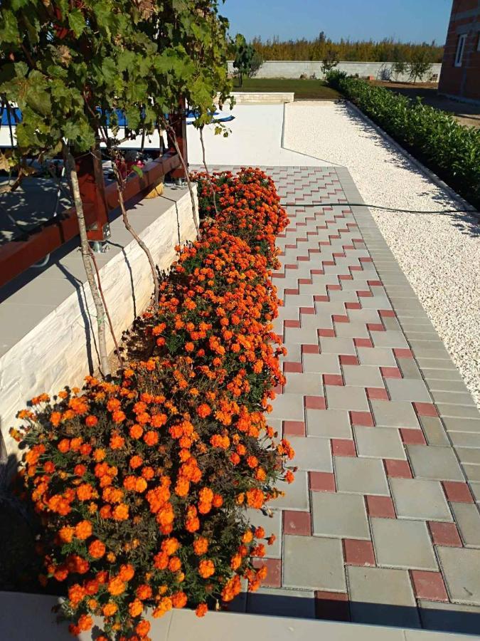 Mala Cista Villa Verbena חדר תמונה